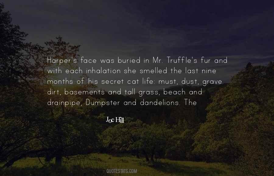 In The Tall Grass Quotes #646668