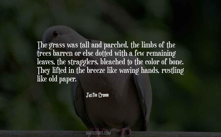 In The Tall Grass Quotes #666826