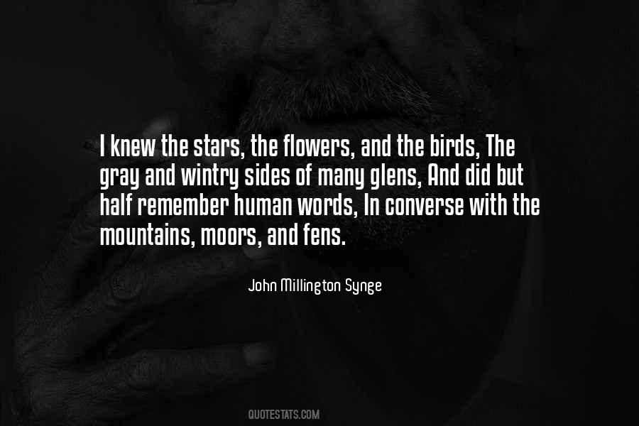 Mountains And Stars Quotes #784341