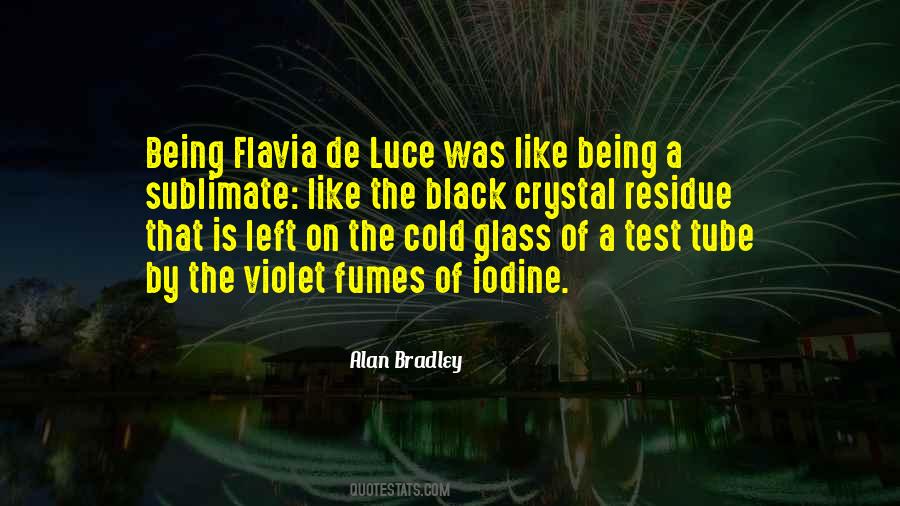 Black Glass Quotes #1233785