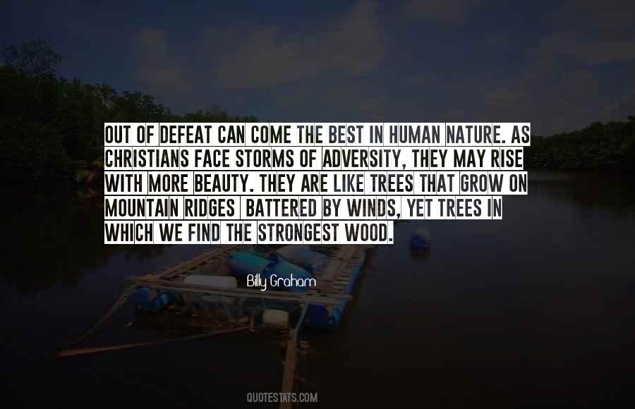 Beauty Of Trees Quotes #1325840