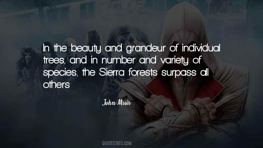 Beauty Of Trees Quotes #1404684