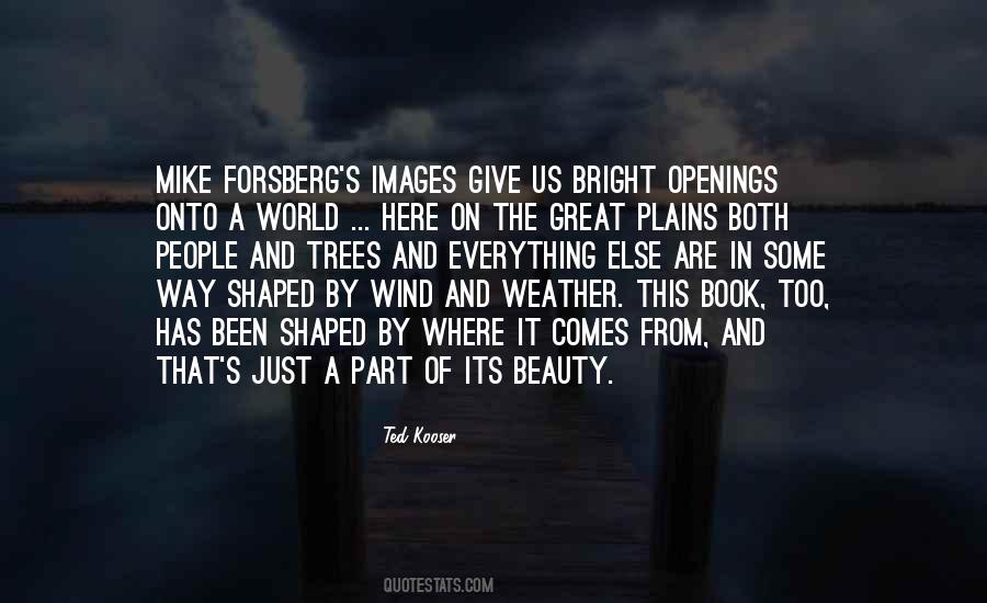 Beauty Of Trees Quotes #1485646
