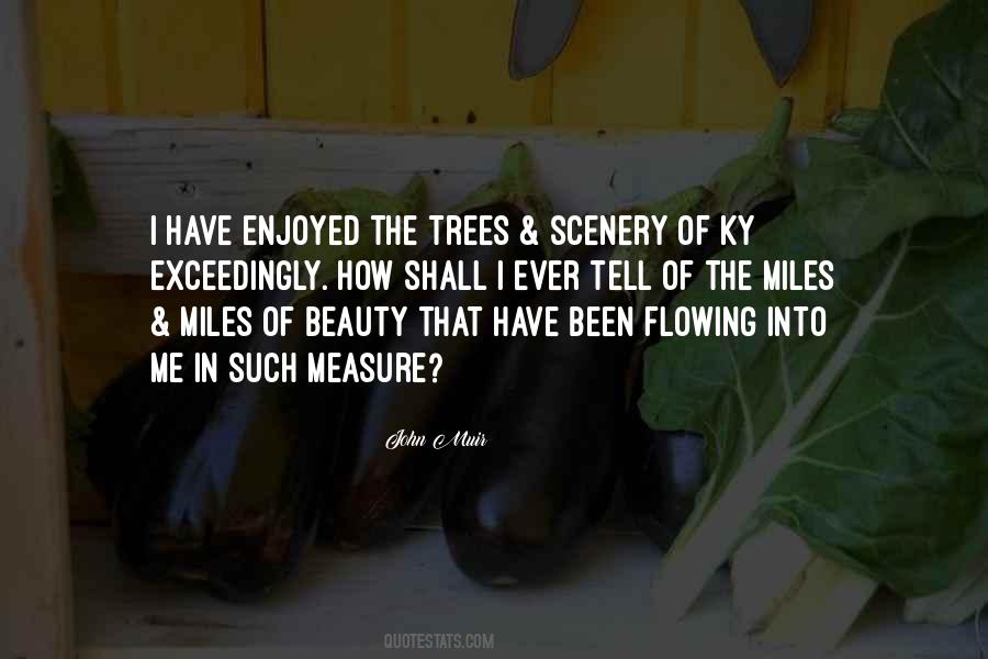 Beauty Of Trees Quotes #1580158
