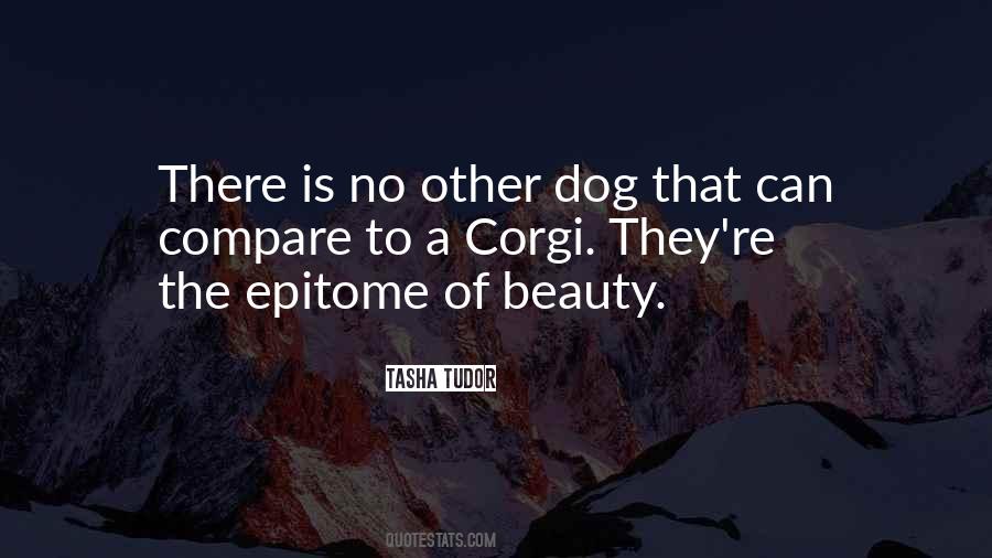 No Compare Quotes #1341170