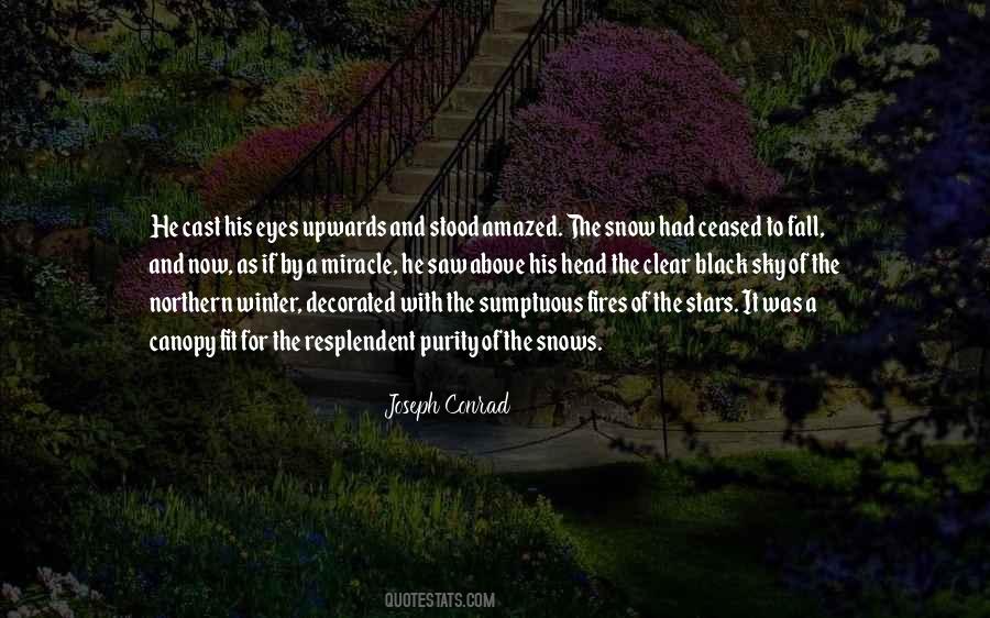Head To The Sky Quotes #1637794