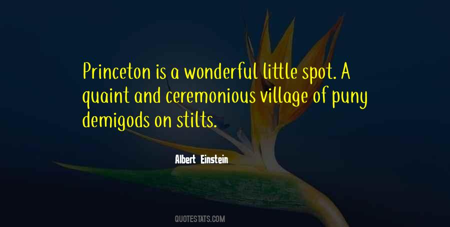 Einstein Princeton Quotes #1105488