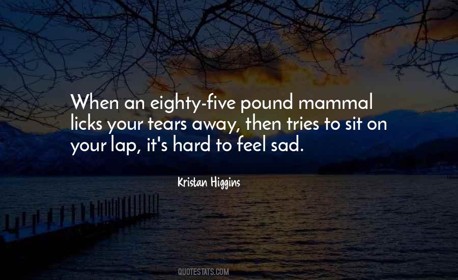 Sit On My Lap Quotes #1078812