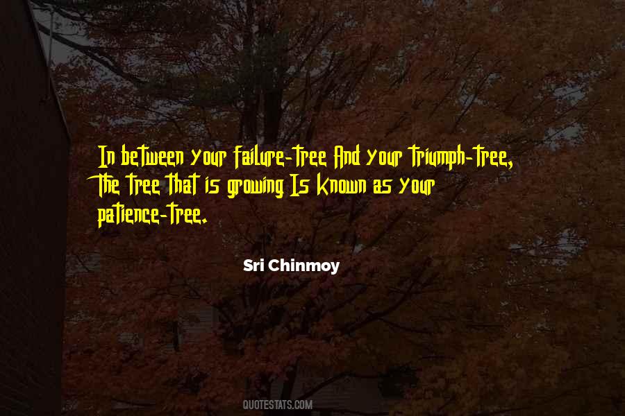 Sri Chinmoy In between your failure-tree And your triumph-…