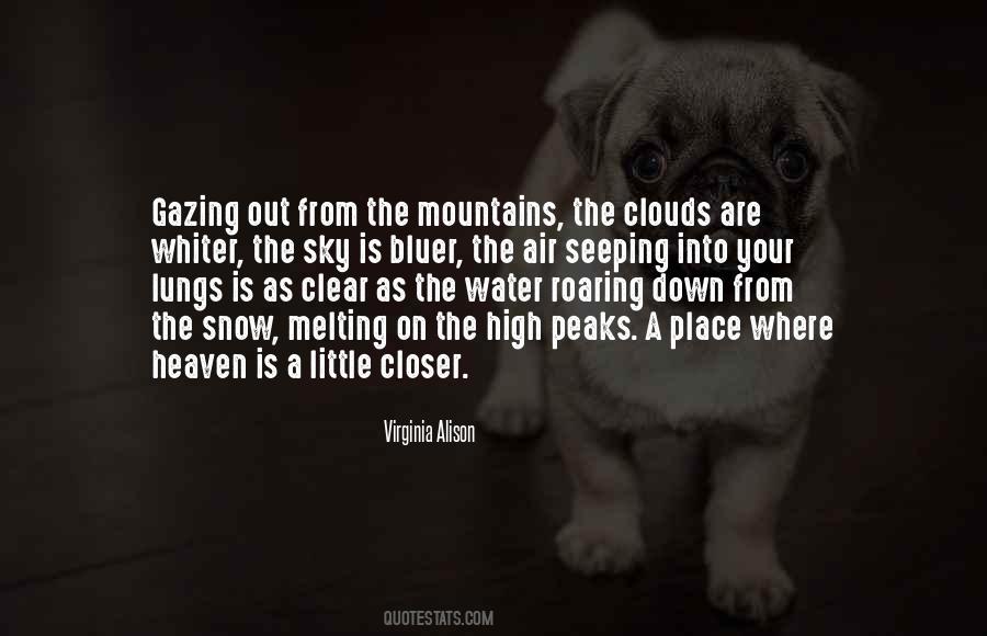 Into The Mountains Quotes #684387