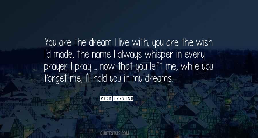 Dream Lost Quotes #1681152