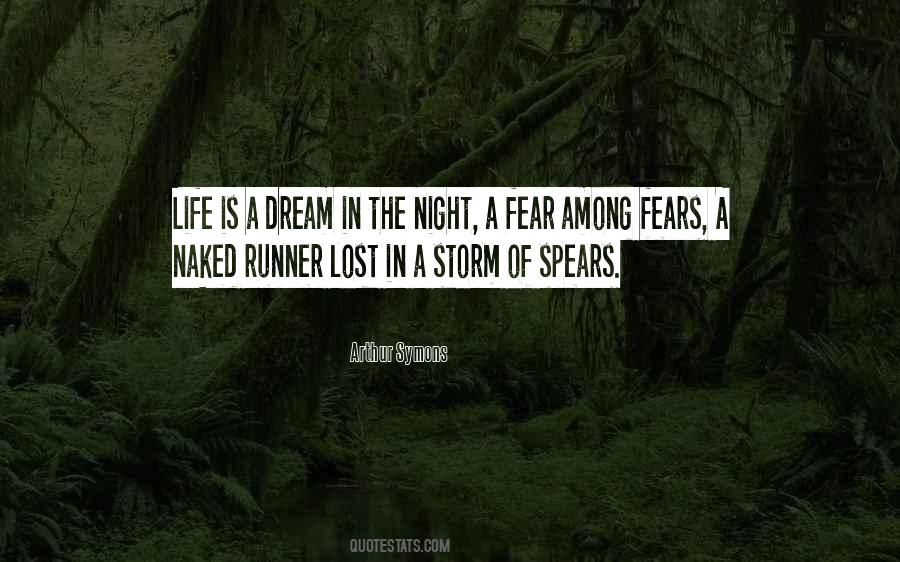 Dream Lost Quotes #211968