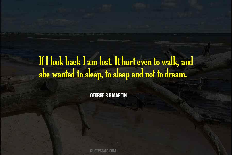 Dream Lost Quotes #538345