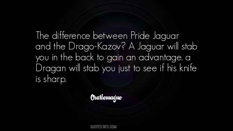 Stab A Knife Quotes #146953