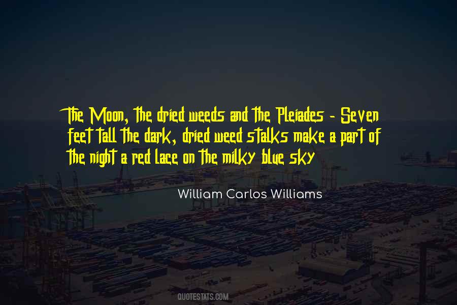 Red Blue Quotes #537084