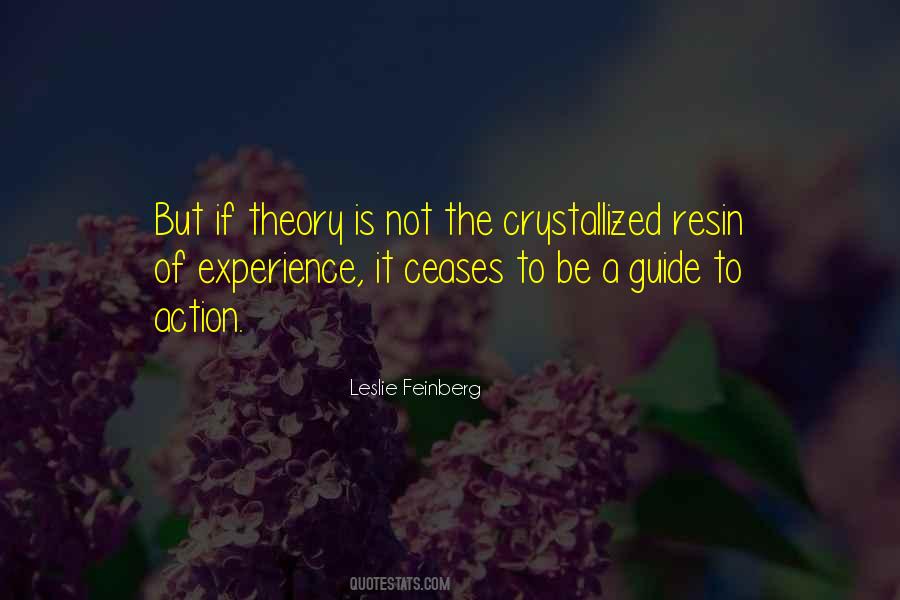 Theory Without Experience Quotes #927603