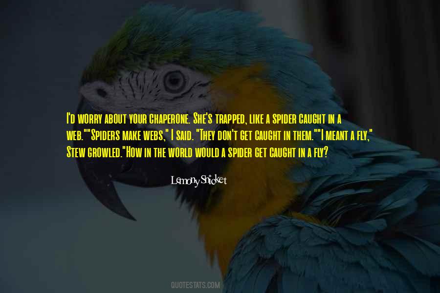 Said The Spider To The Fly Quotes #754489