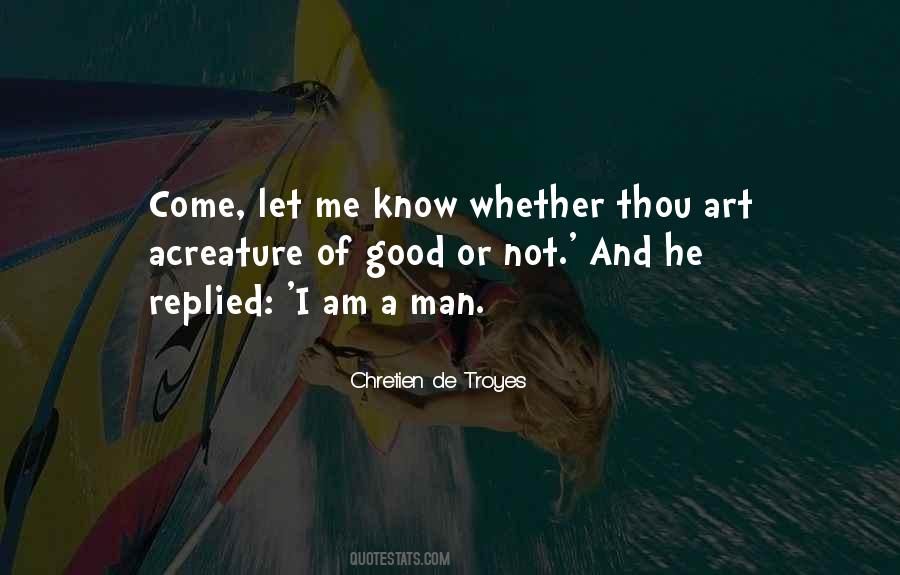 I Am Not A Good Man Quotes #1685206