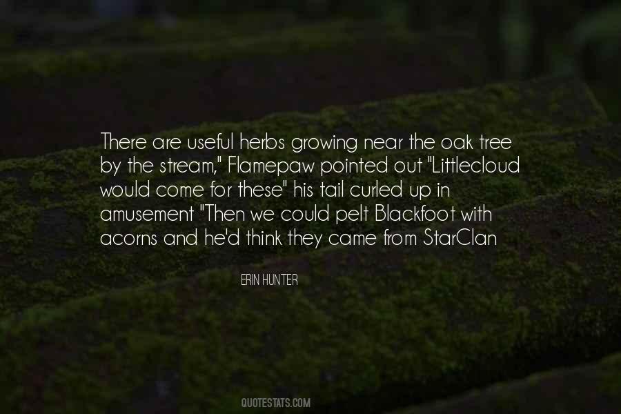 We Are Growing Up Quotes #1102205