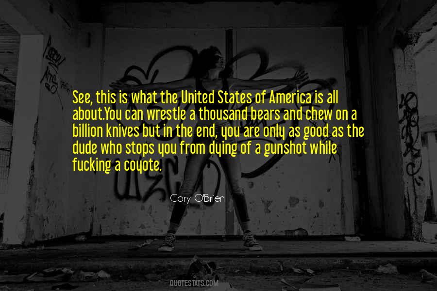Quotes About Heroes In America #681034