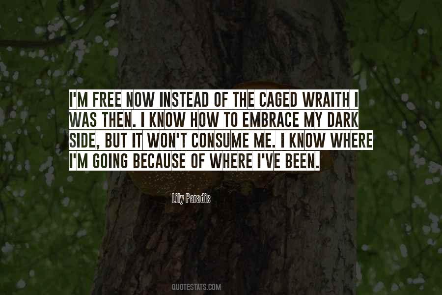 Going To The Dark Side Quotes #658210