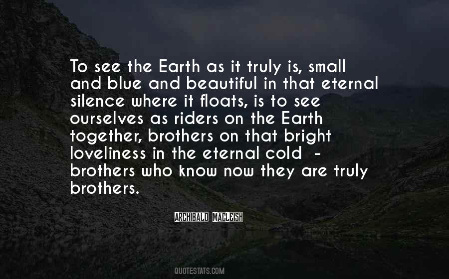 Small And Beautiful Quotes #1613839