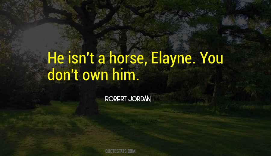 Elayne Trakand Quotes #1759120
