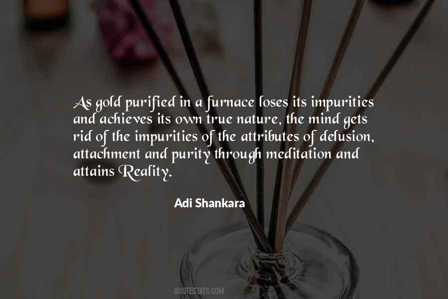 Quotes About Impurities #931830