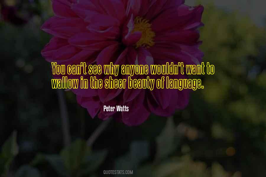You Can See Beauty Quotes #573330