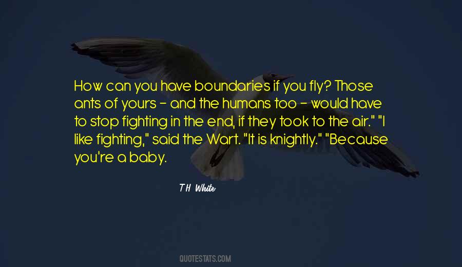 When You Stop Fighting Quotes #74515