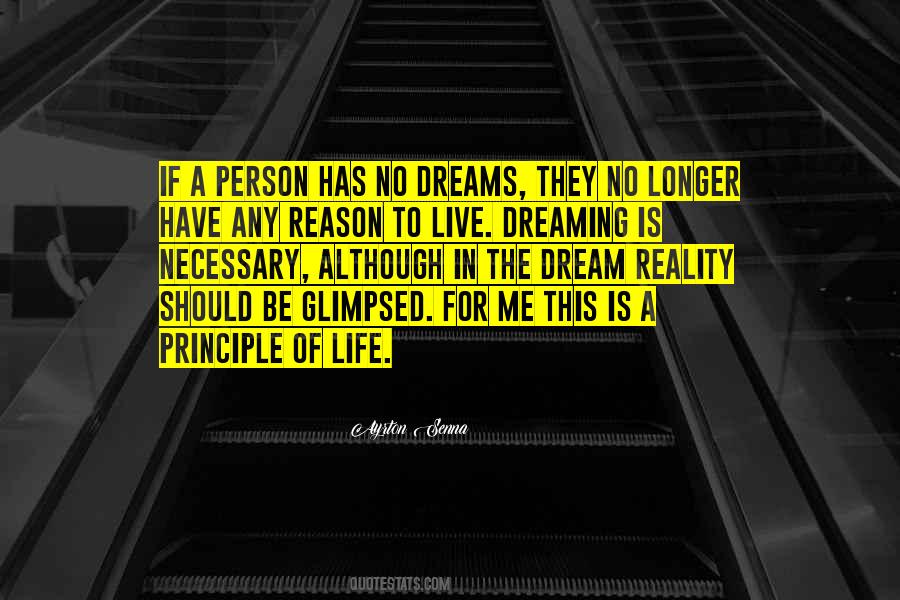 Dream To Reality Quotes #401141