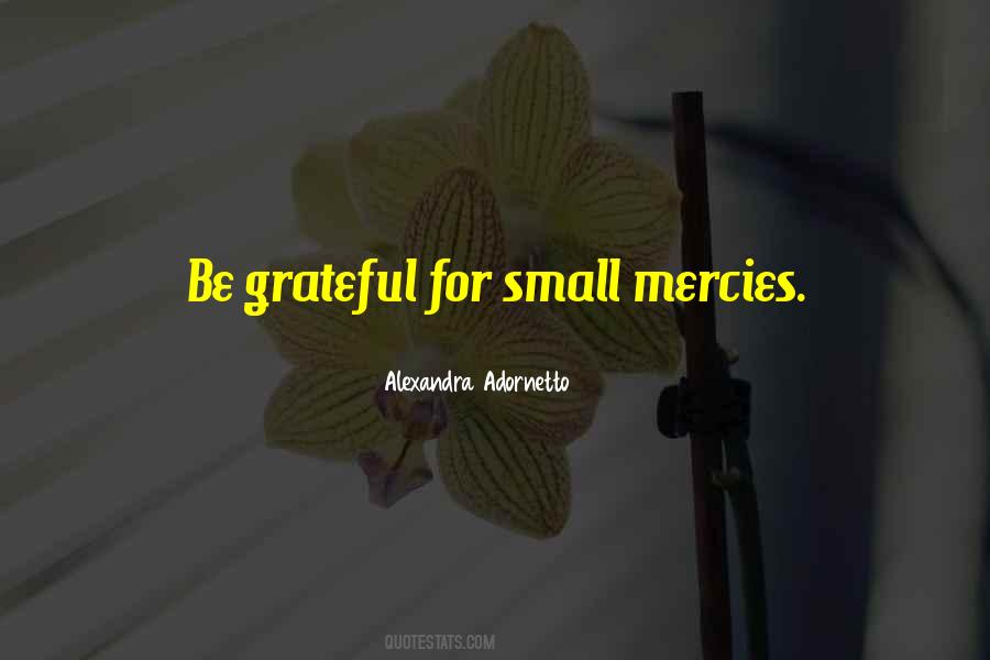 Grateful For The Small Things Quotes #1229641