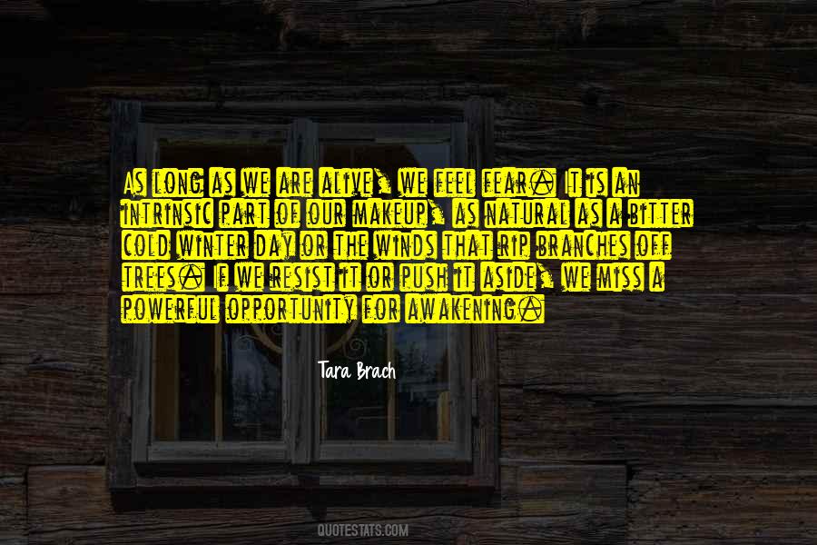 We Are Alive Quotes #1736461