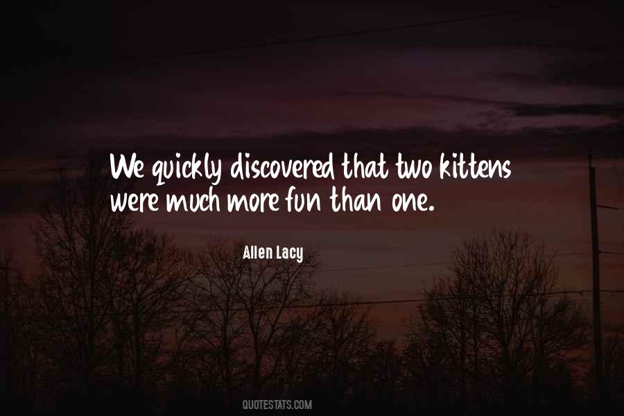 Fun Cat Quotes #900991