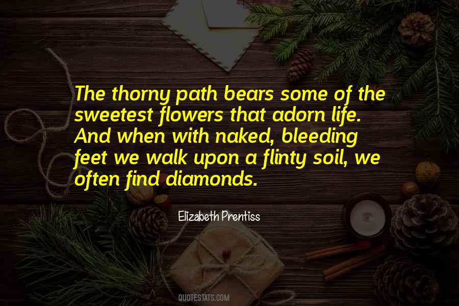 Walk The Path Of Life Quotes #1838540