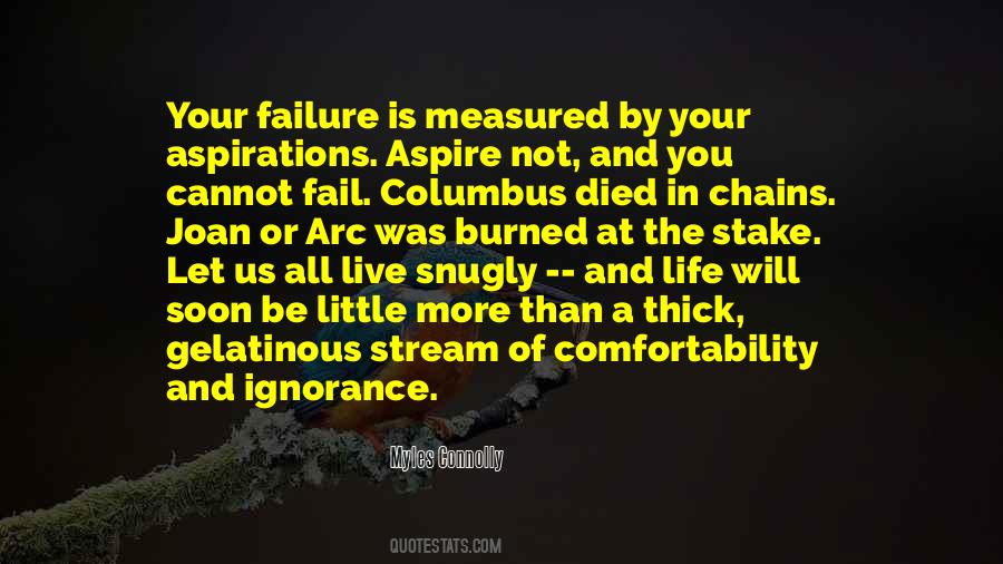 Risk Of Failure Quotes #544880