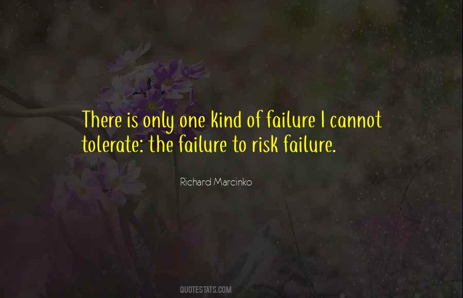 Risk Of Failure Quotes #953980