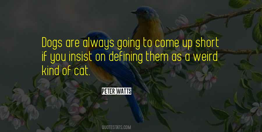 Weird Cat Quotes #1253612