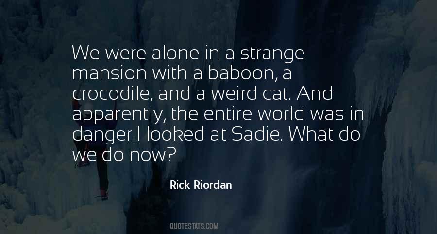 Weird Cat Quotes #1769507