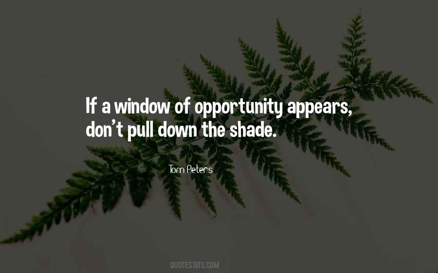 Leadership Opportunity Quotes #1649514