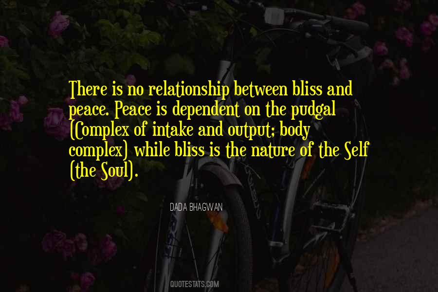 Soul Bliss Quotes #1353971
