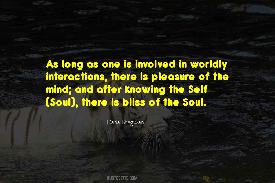 Soul Bliss Quotes #1713583