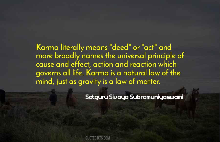 Karma Is Quotes #296264