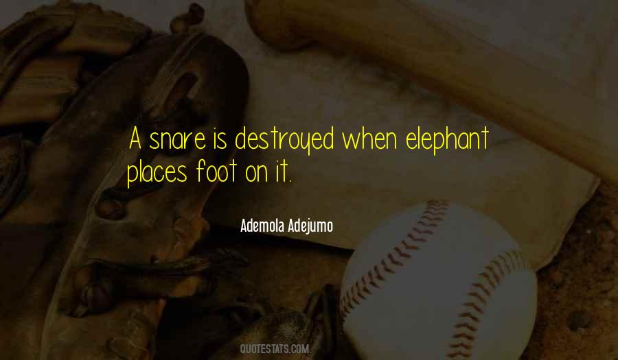 Elephant Quotes #121944