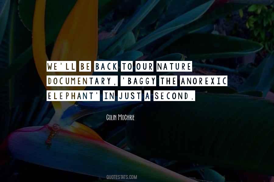 Elephant Quotes #1342665