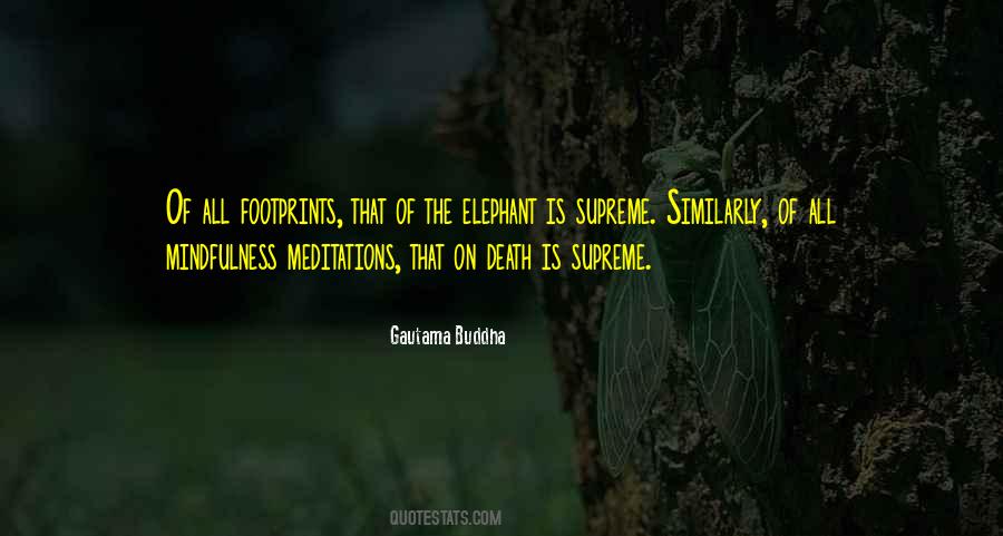 Elephant Quotes #14912