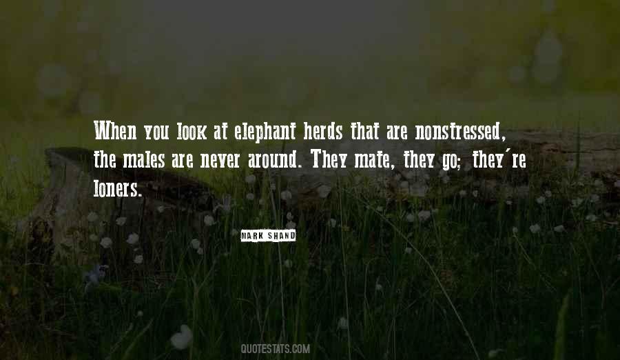 Elephant Quotes #210621