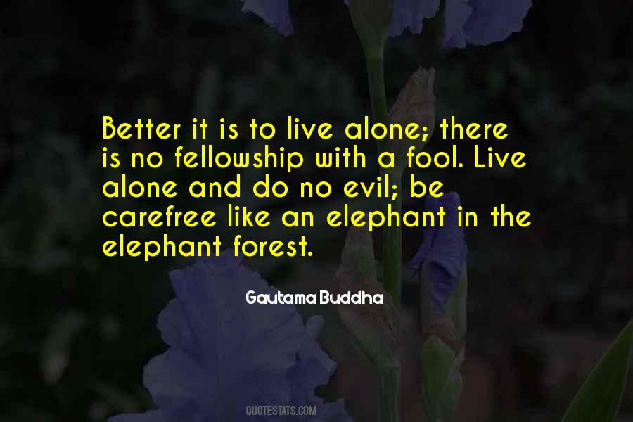 Elephant Quotes #228302