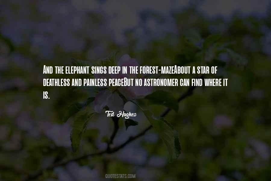 Elephant Quotes #294815