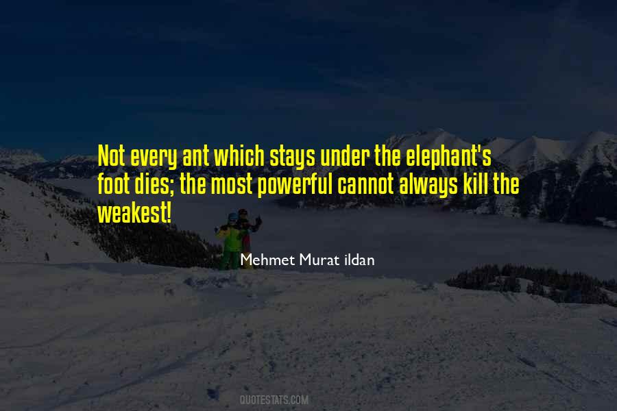 Elephant Quotes #397780